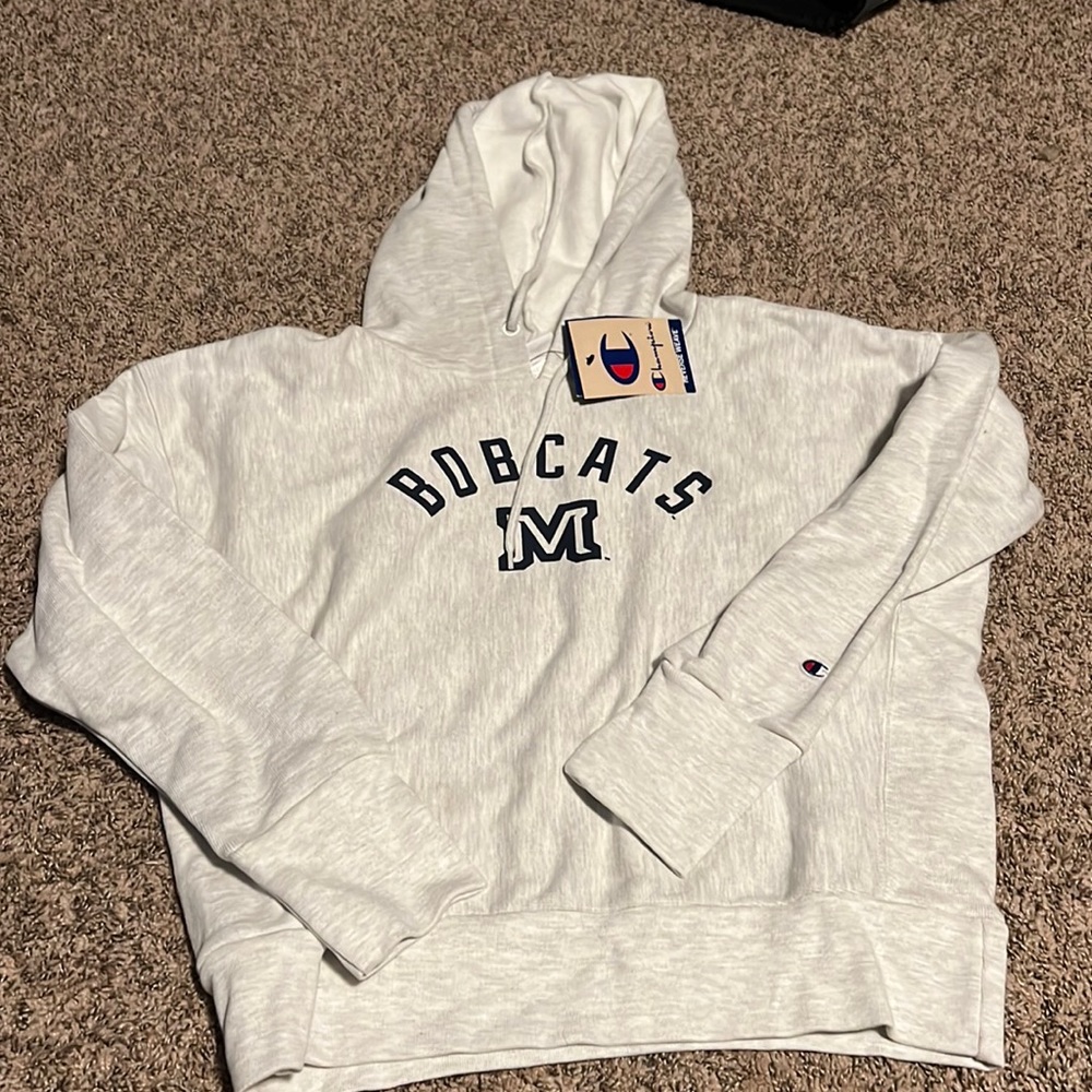 womens champion sweatshirt, size small